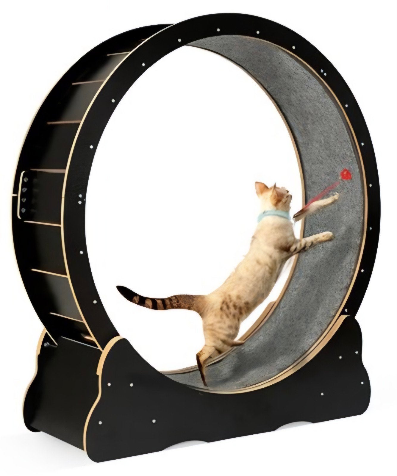 katten looprad groot, Ophalen, Nieuw