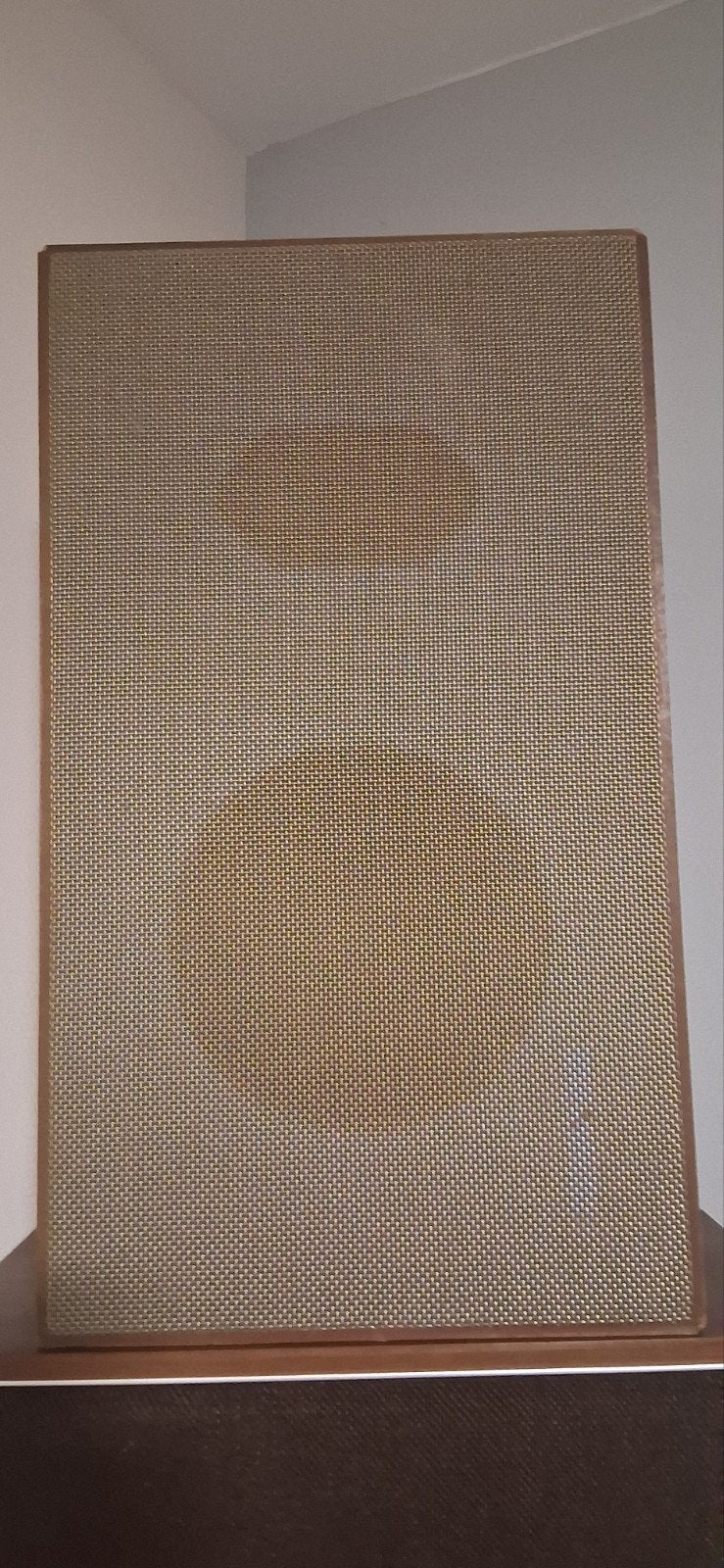 Telefunken l6000 speakers