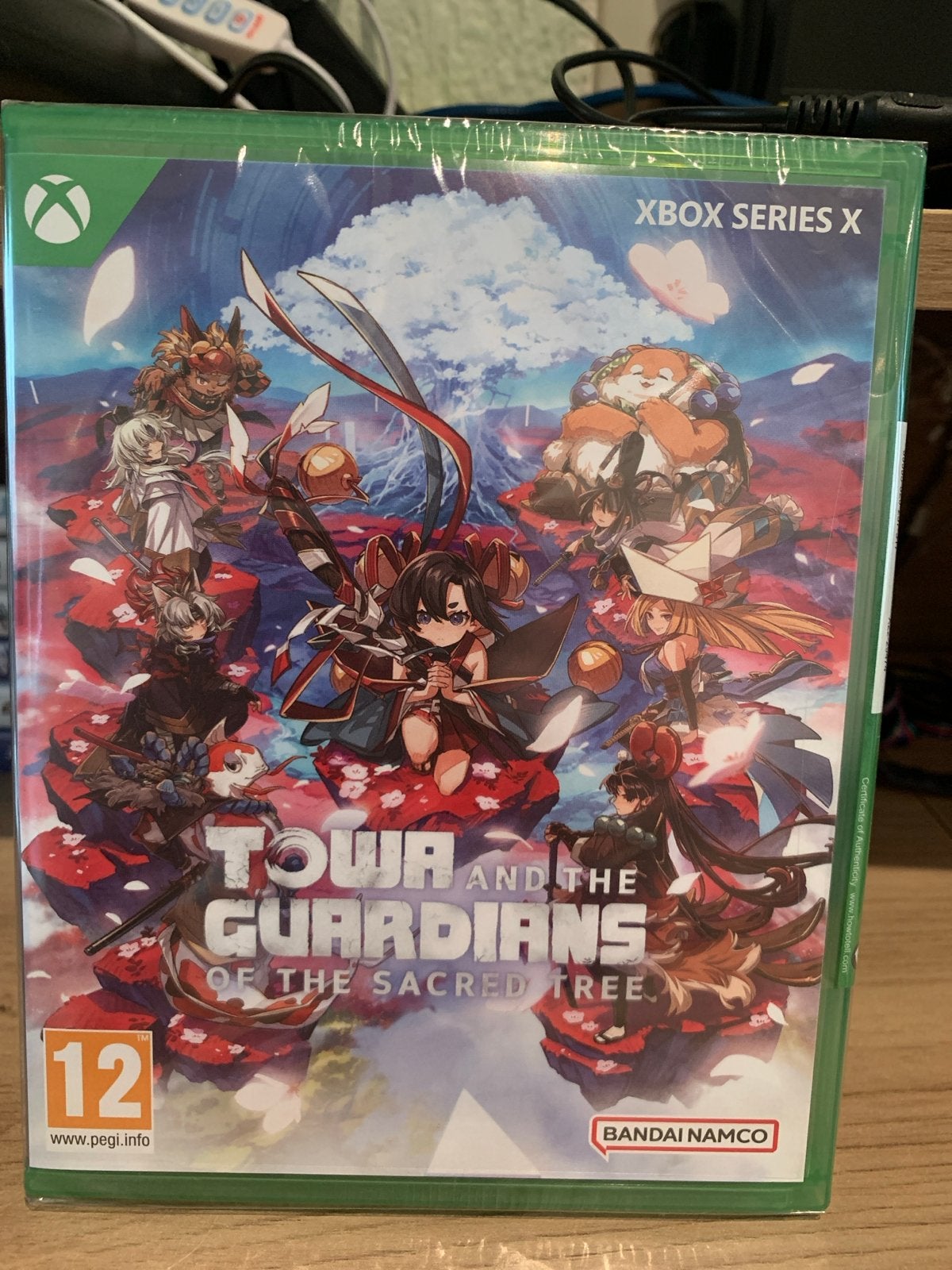 Towa and the Guardians of the Sacred Tree Xbox Series X