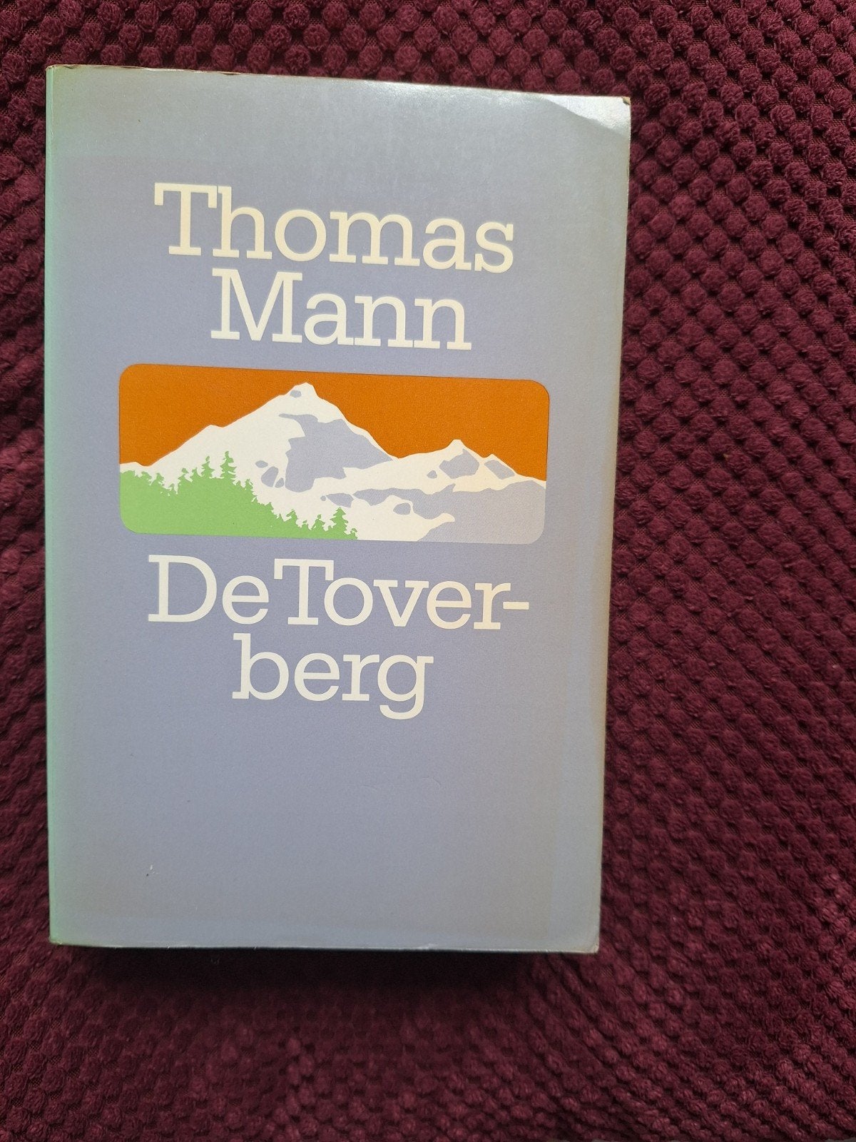 De Toverberg - Thomas Mann (ISBN 90 295 3008 1), Ophalen of Verzenden