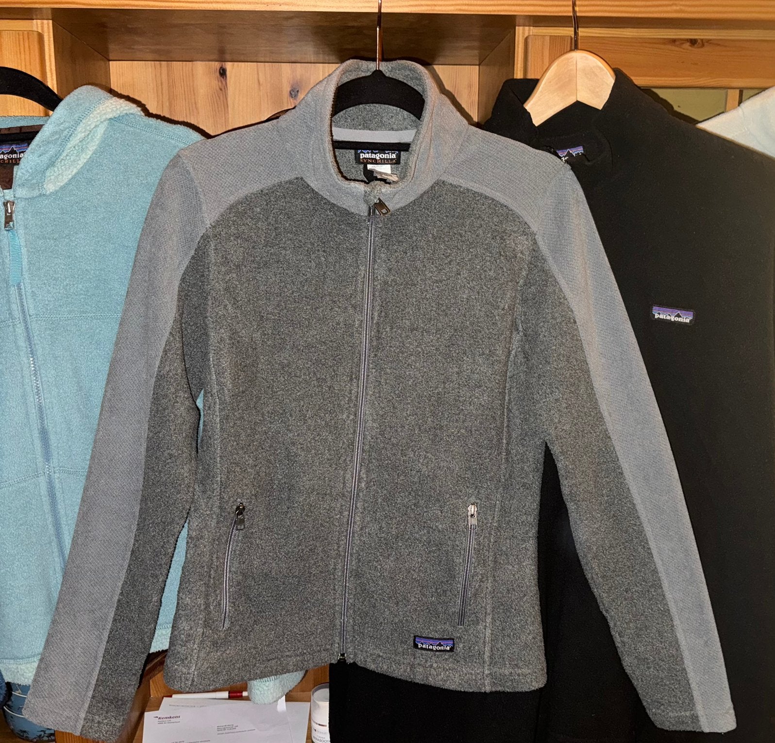 Patagonia Technical Fleece Jacket, Ophalen of Verzenden, Zo goed als nieuw, Maat 36 (S), Grijs