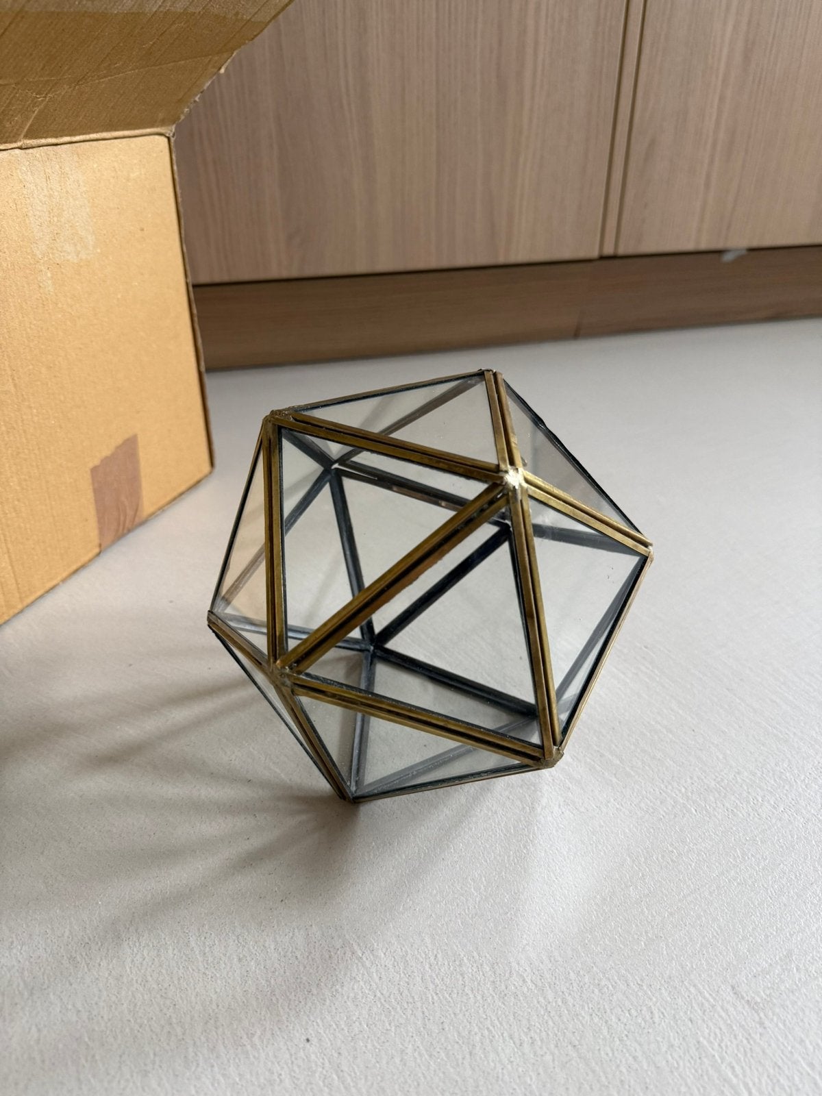 Terrarium ster van Urban Outfitters, Ophalen, Minder dan 30 cm, Minder dan 60 cm, Nieuw