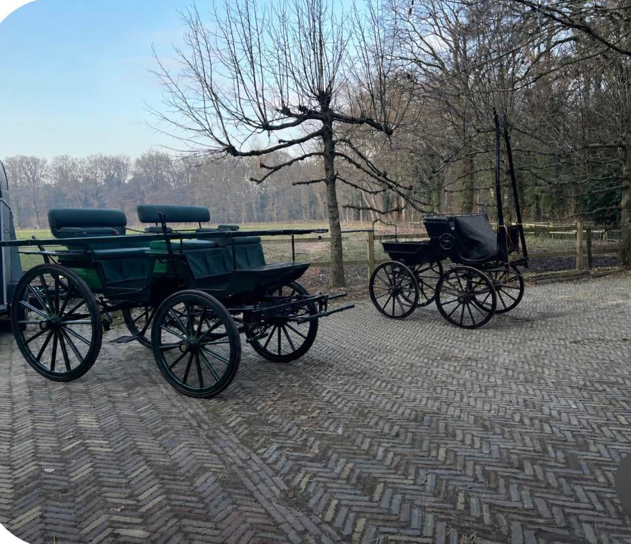 2 antieke rijtuigen, Overige typen, Paard