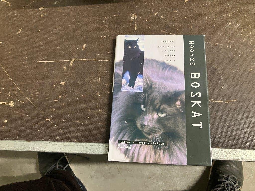 Noorse Boskat, Boeken, Ophalen of Verzenden, Zo goed als nieuw, Katten, Esther Verhoef
