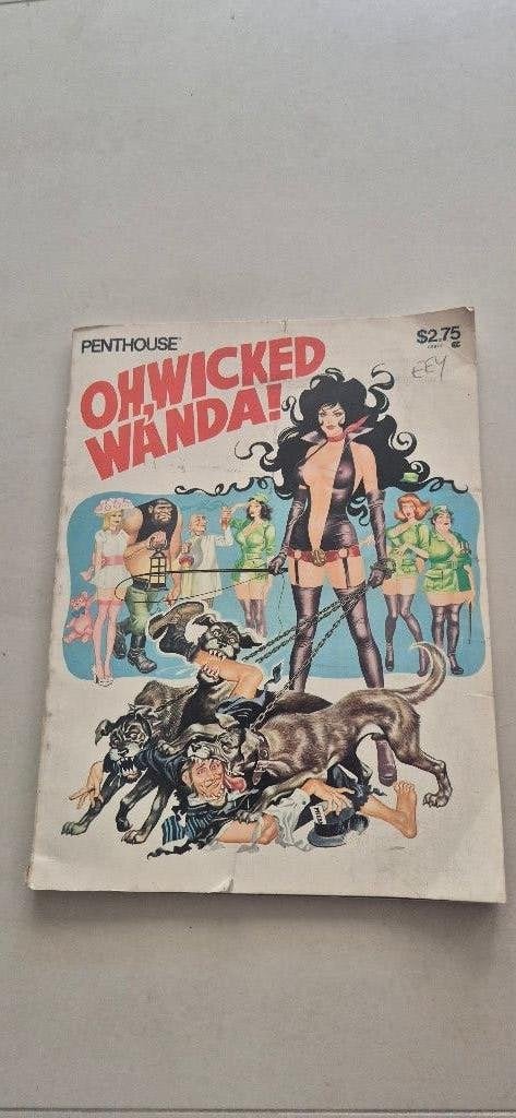Penthouse Oh, Wicked Wanda! Comic zeldzaam!, Eén comic, Ophalen of Verzenden, Zo goed als nieuw, Amerika