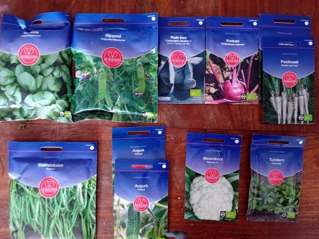 Moestijnzaden de Bolster, Ophalen of Verzenden, Volle zon, Zaad