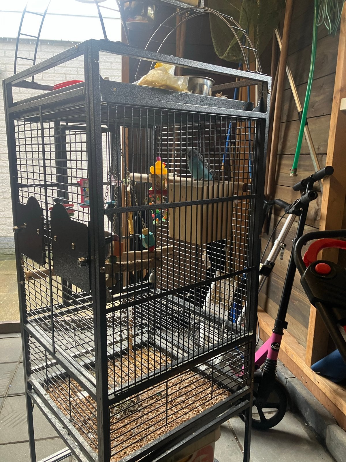 Parkiet met kooi te koop, Ophalen, Gebruikt, Metaal, Vogelkooi