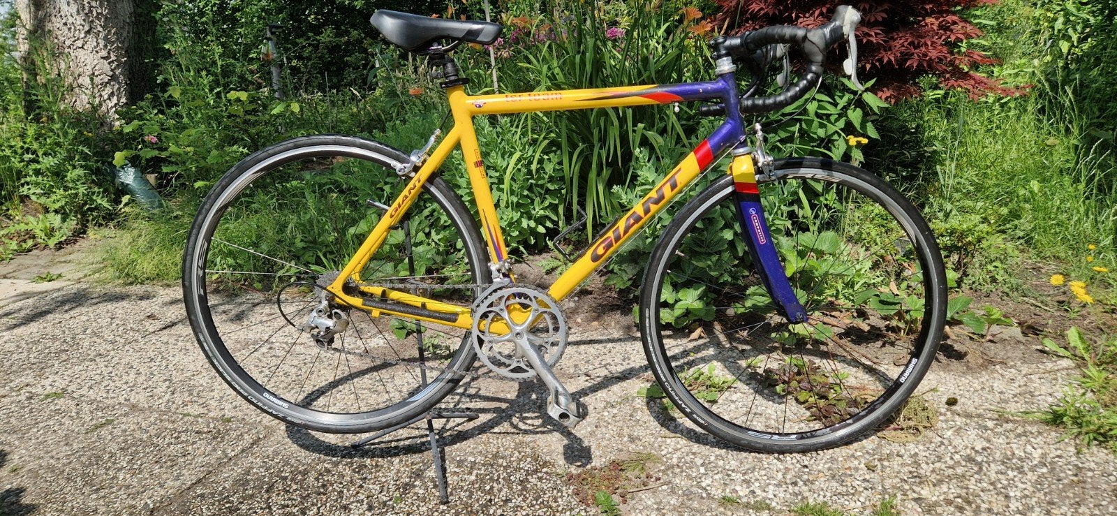Giant TCR team,  55.5 cm, Ophalen, 28 inch, Gebruikt, Aluminium