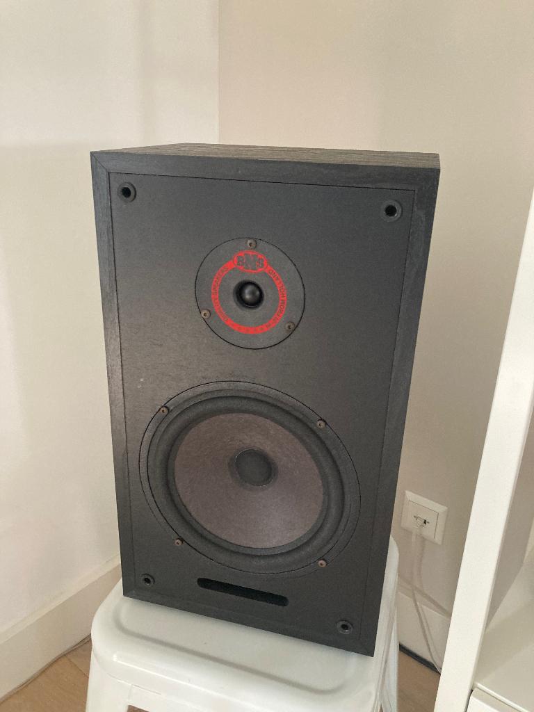 BNS E2.2, Audio, Tv en Foto, Luidsprekers, Overige merken, Gebruikt, Ophalen of Verzenden, 60 tot 120 watt
