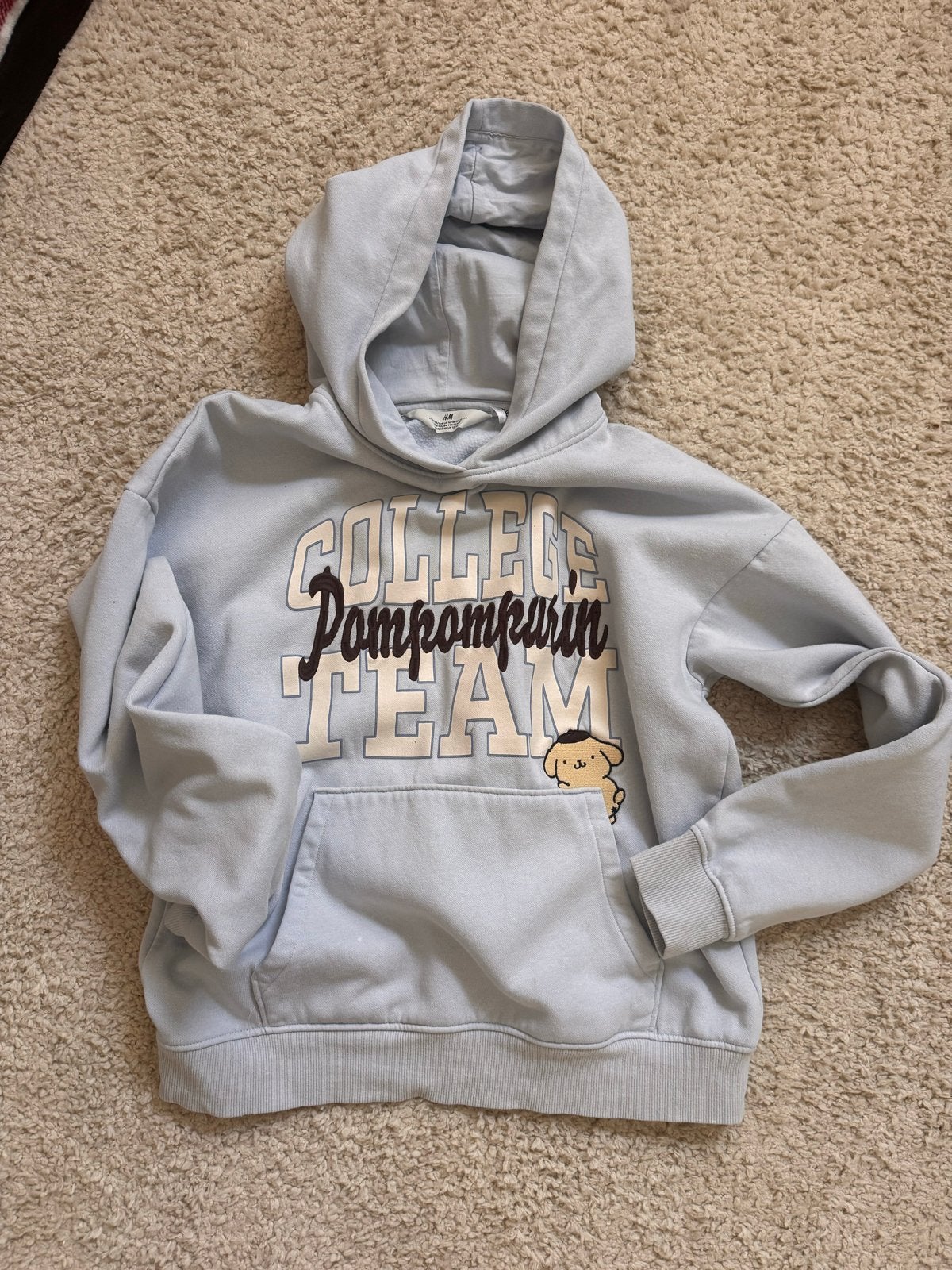 H&M Pompompurin hoodie maat 158/164, Ophalen of Verzenden, Gebruikt, Jongen of Meisje, Trui of Vest