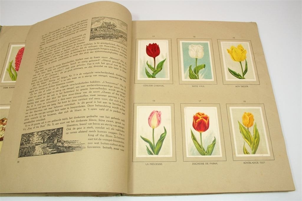 De Bloemenvelden — Het Klaverblad Album — Compleet [1918], Boeken, Ophalen of Verzenden, Gelezen