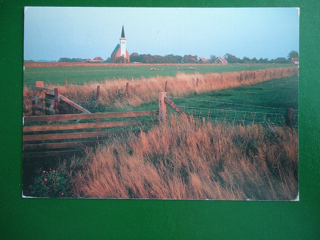 (269) Kaart: DEN HOORN, TEXEL, Verzenden, 1980 tot heden, Gelopen, Waddeneilanden