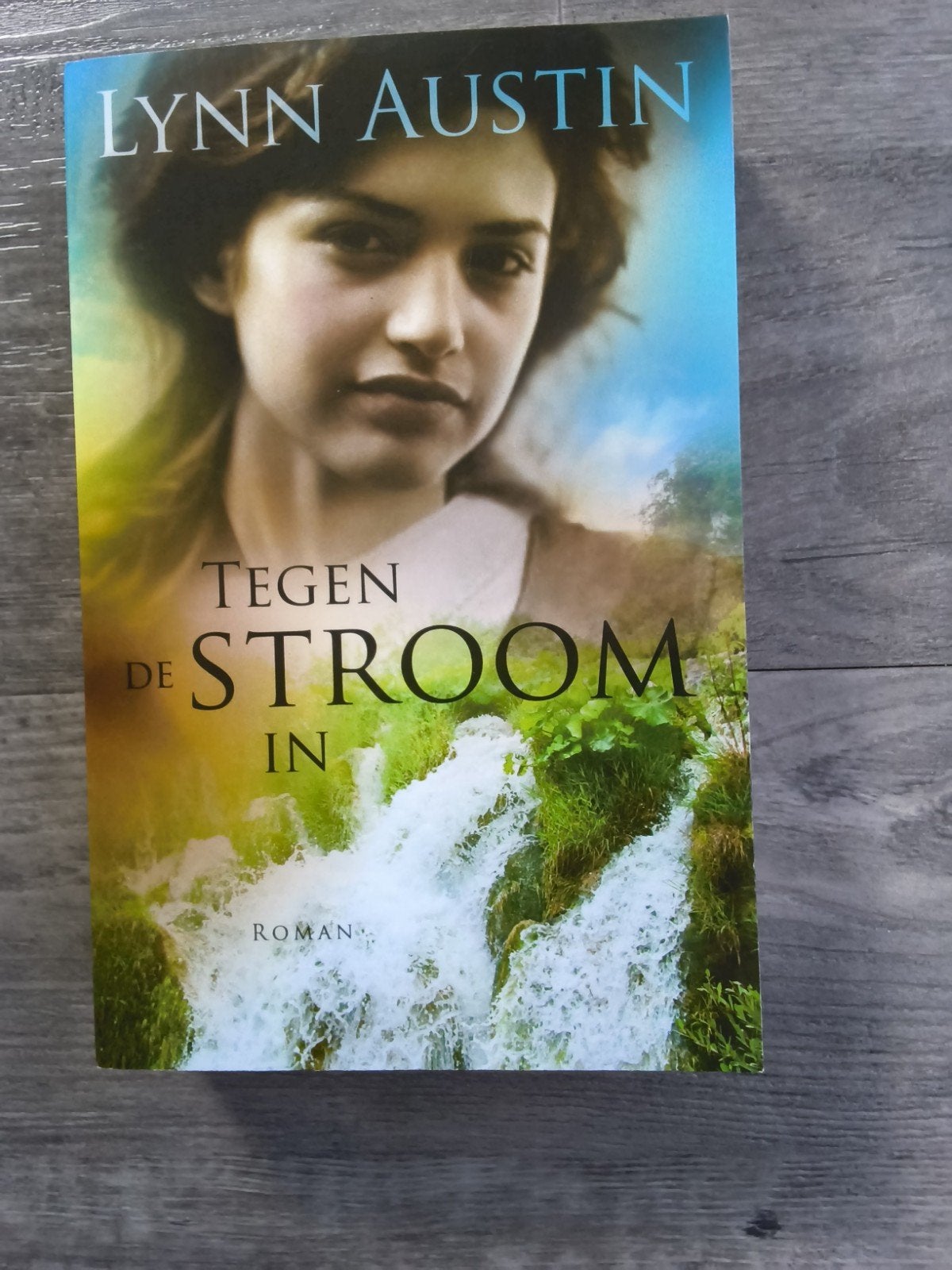 Lynn Austin - Tegen de stroom in, Ophalen of Verzenden, Zo goed als nieuw, Lynn Austin