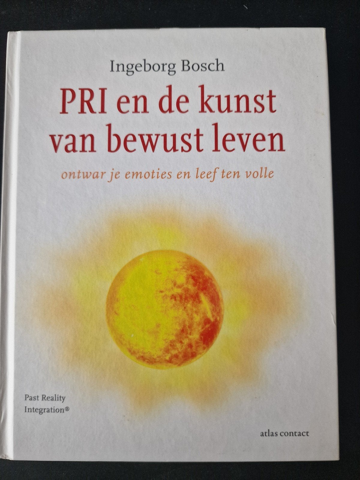PRI en de kunst van bewust leven - Ingeborg Bosch, Boeken, Achtergrond en Informatie, Spiritualiteit algemeen, Ophalen of Verzenden