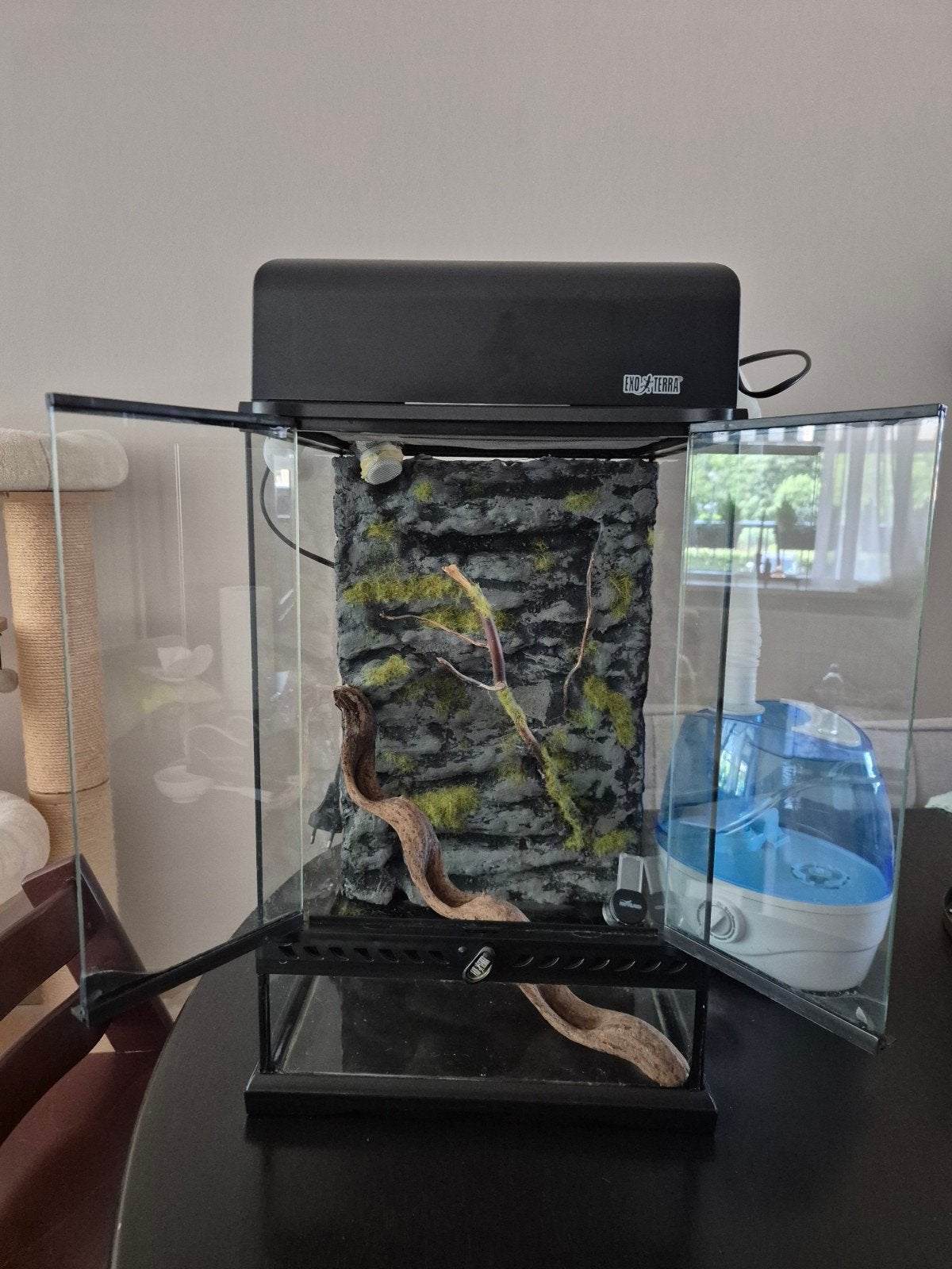 Exo Terra terrarium 30 x 30 x 45, Ophalen, Terrarium of Paludarium