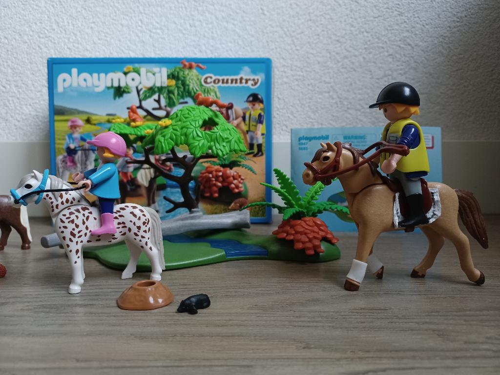 ZGAN Playmobil Ponyrijles paarden - 6947, Kinderen en Baby's, Speelgoed | Playmobil, Ophalen of Verzenden, Zo goed als nieuw