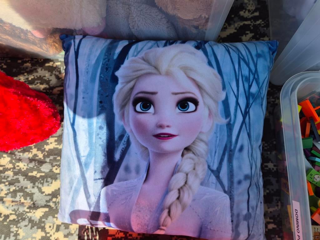 Frozen Elsa Kussen - Ideaal voor de kleine Frozen fan!, Ophalen