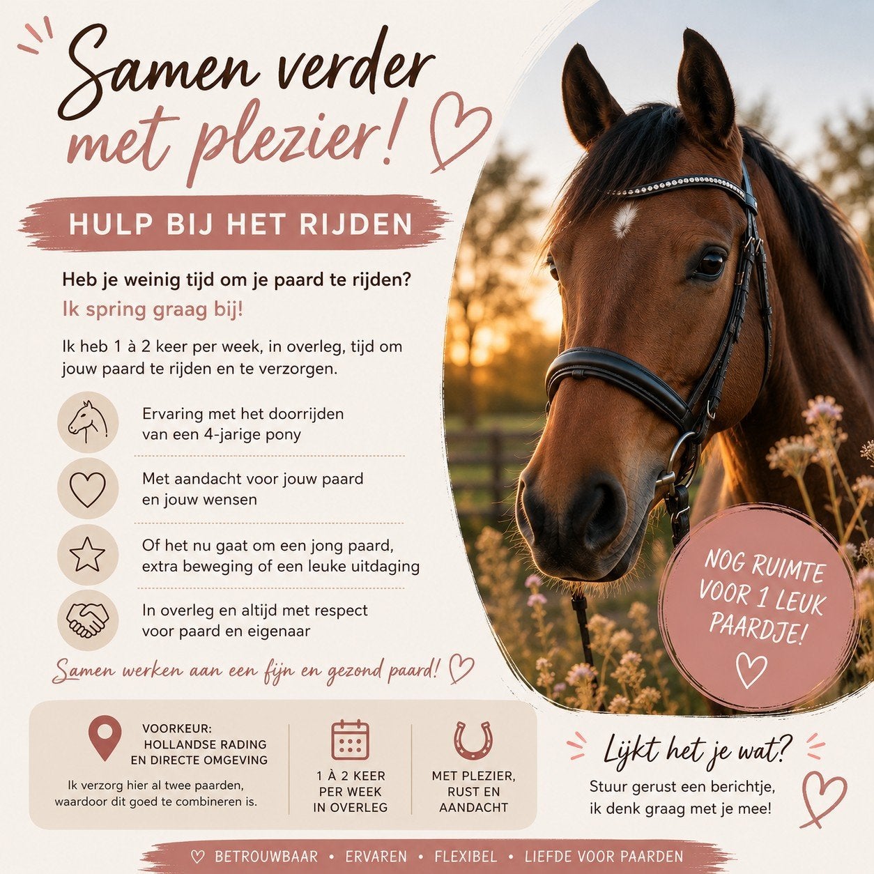 Extra hulp voor jouw paard | Hilversum e.o., Ophalen of Verzenden, Nieuw