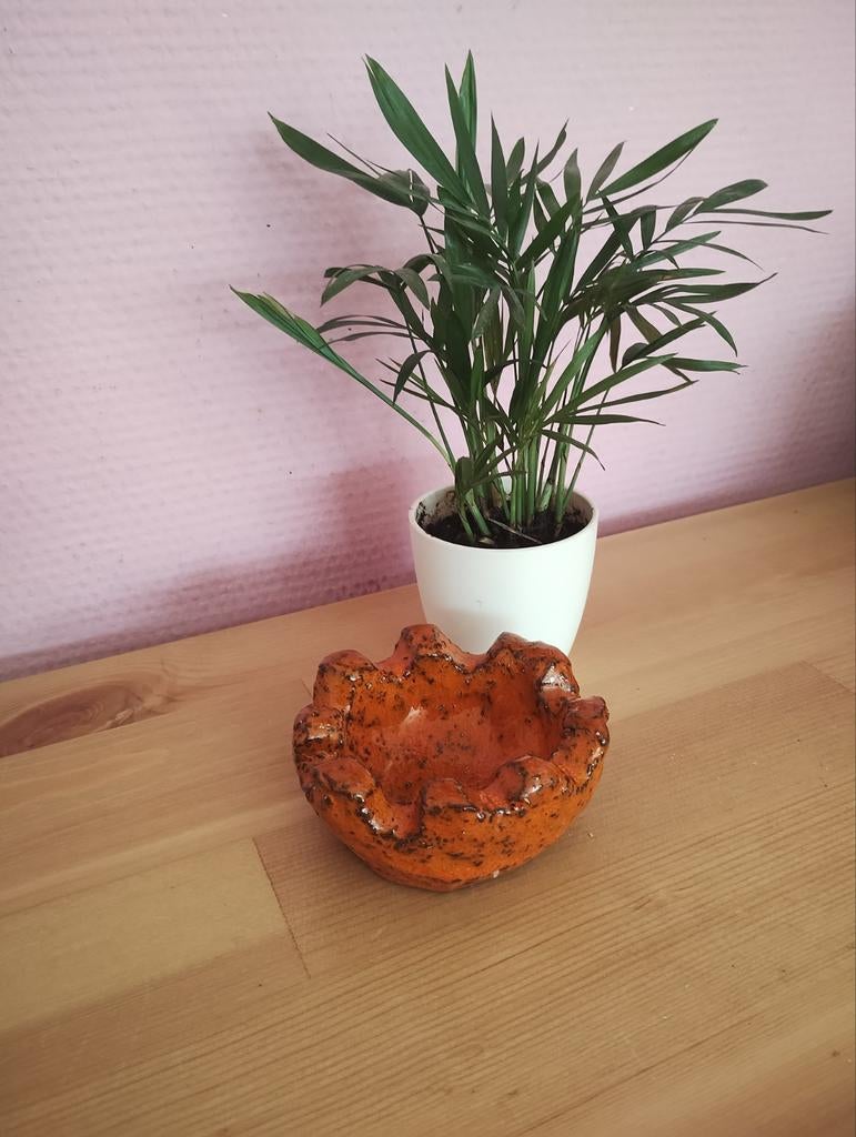 Vintage asbak Oranje, Ophalen of Verzenden, Zo goed als nieuw, Asbak