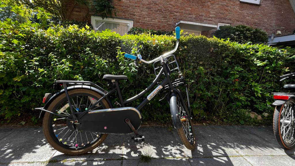 Popal Kinderfiets daily dutch Basic 20 inch Mat zwart, Ophalen of Verzenden, Gebruikt, 20 inch of meer