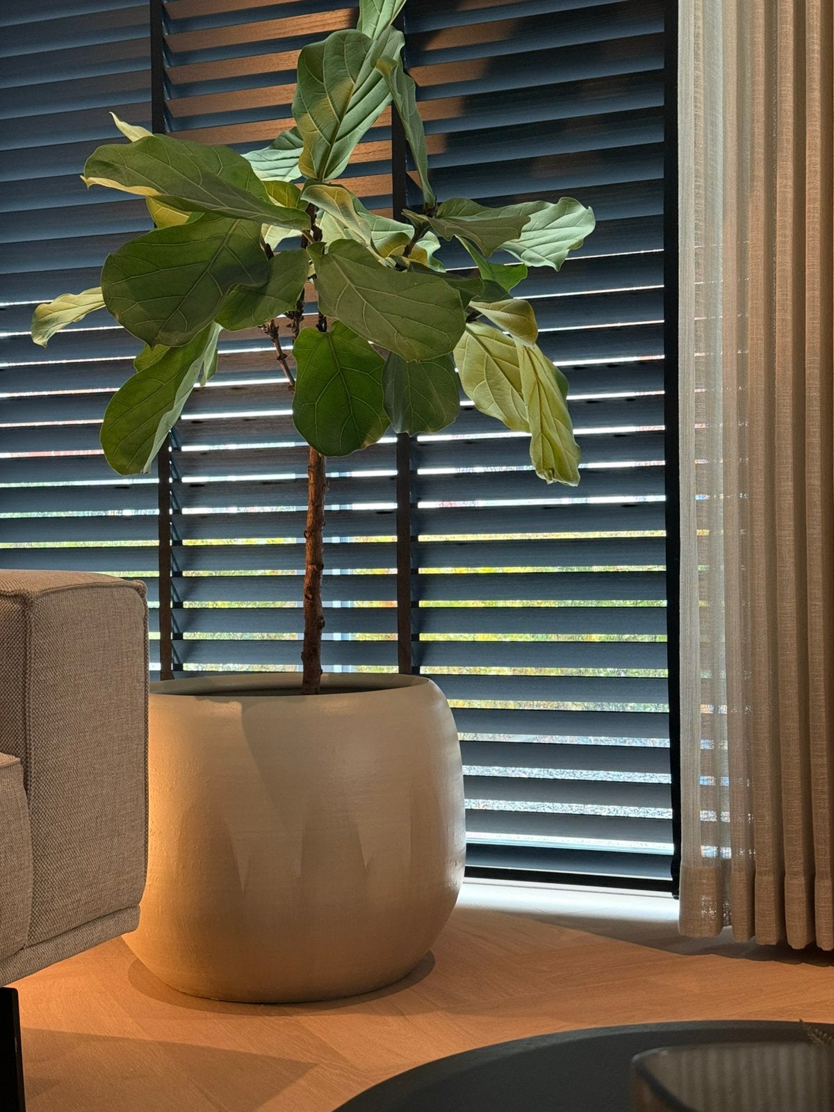 Bloempot met plant, Ophalen, Halfschaduw, Minder dan 100 cm