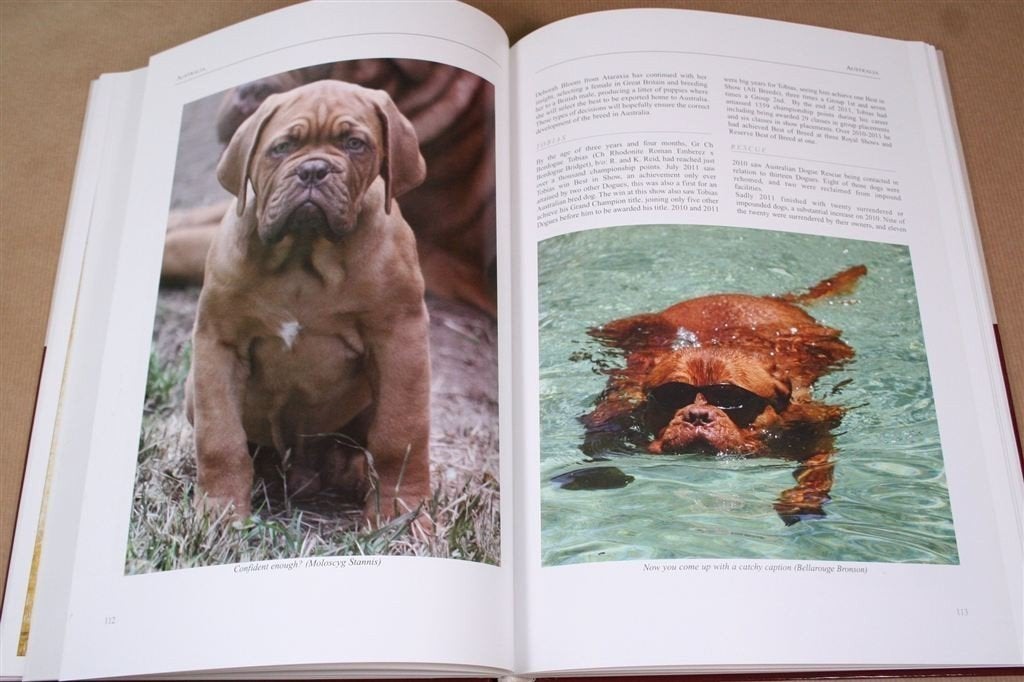 Bordeauxdog 2010-2011 — Rijk geïllustreerd jaarboek, Ophalen of Verzenden, Zo goed als nieuw, Vogels