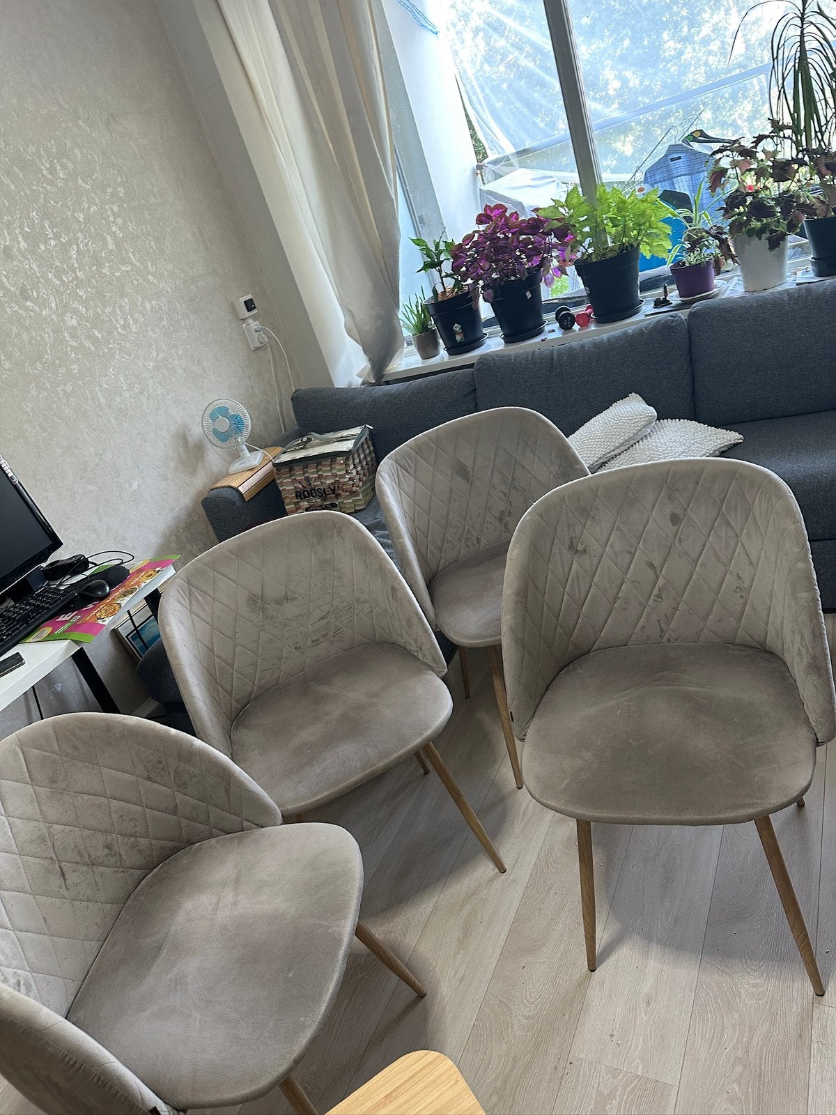 4 kuipstoelen met een beige/taupe velourstof, Huis en Inrichting, Stoelen, Ophalen, Zo goed als nieuw, Overige kleuren
