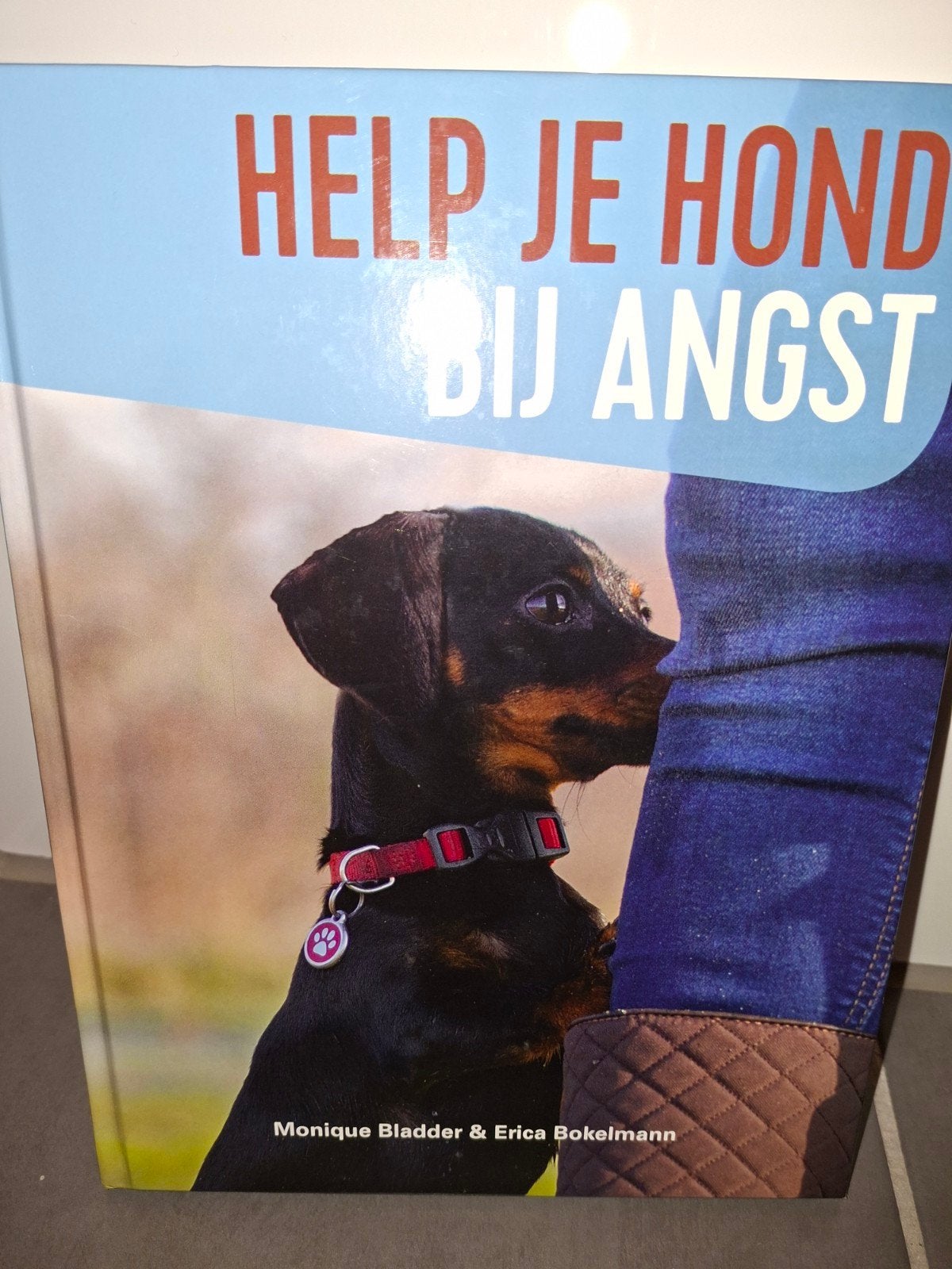 Help je hond bij amgst, Honden, Ophalen of Verzenden, Zo goed als nieuw, Monique Bladder & Erica Bokelman