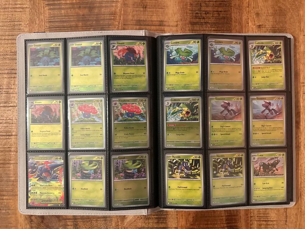 Phantasmal Flames: 100% complete Base Set, Ophalen of Verzenden, Zo goed als nieuw, Meerdere kaarten, Foil