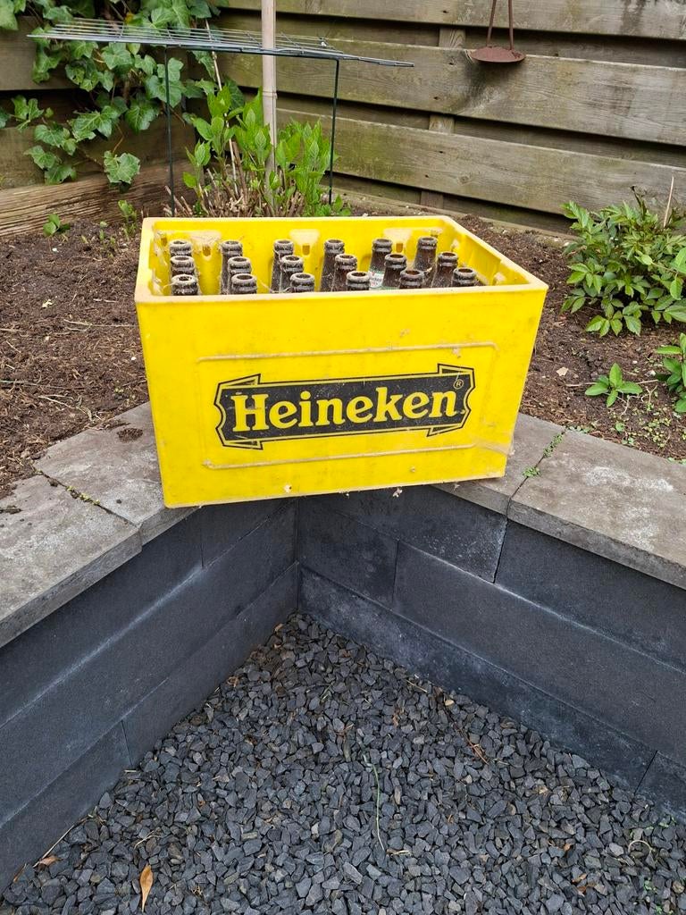 Oud geel Heineken kratje met originele flessen, Ophalen, Flesje(s), Heineken