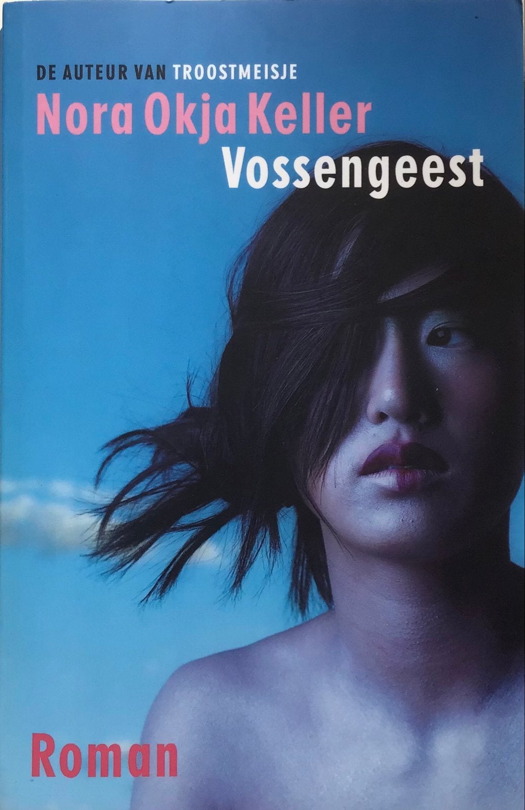 Vossengeest - Nora Okja Keller (Roman), Ophalen of Verzenden, Gelezen, Amerika
