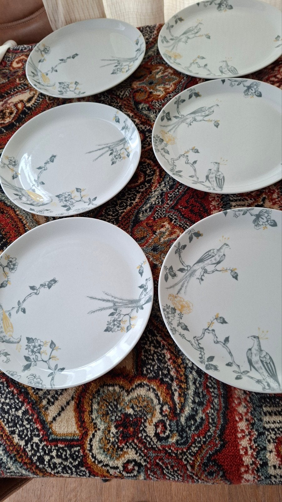 6 Villeroy en Boch Vivo limited edition Dinnerborden 27 cm, Huis en Inrichting, Keuken | Servies, Ophalen of Verzenden, Porselein