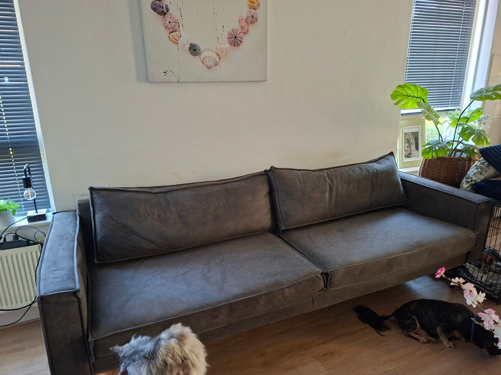 Comfortabele 3-zitsbank - 260 cm breed, 95 cm diep, Ophalen, 250 tot 300 cm, Gebruikt, Driepersoons
