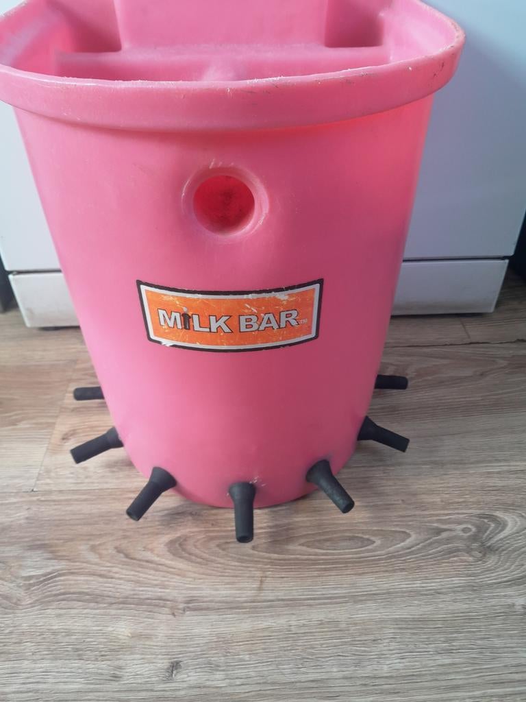 TE KOOP MILKBAR VOOR GEIT / SCHAAP LAMMEREN 7 SPEENS, Geslacht onbekend, Geit