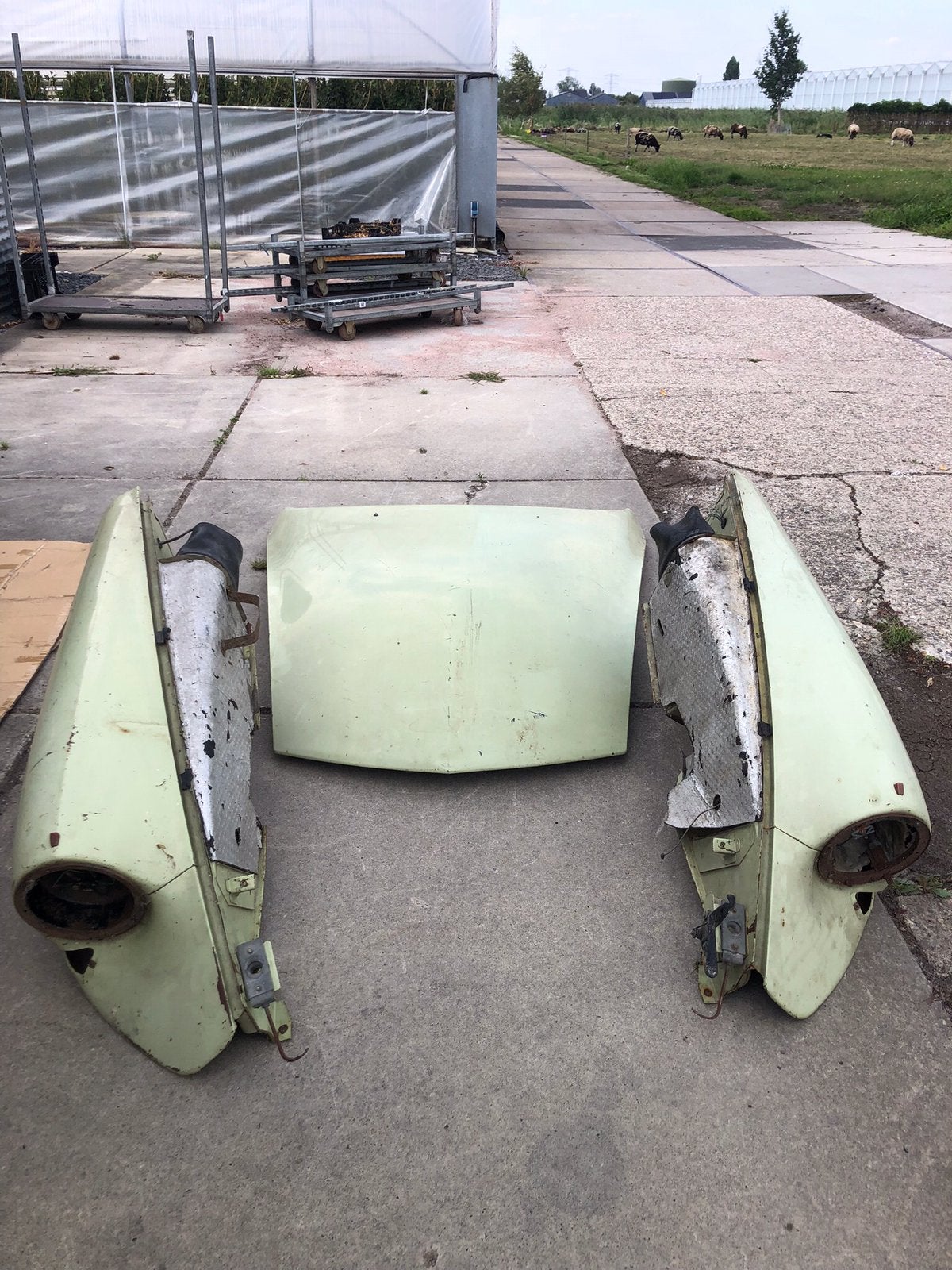 Citroën DS ID voorspatborden en motorkap eerste neus, Ophalen, Gebruikt, Voor, Citroën