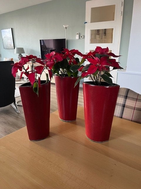 3 Vazen Rood aardewerk, 30 cm, Ophalen of Verzenden, Zo goed als nieuw, Steen/keramiek