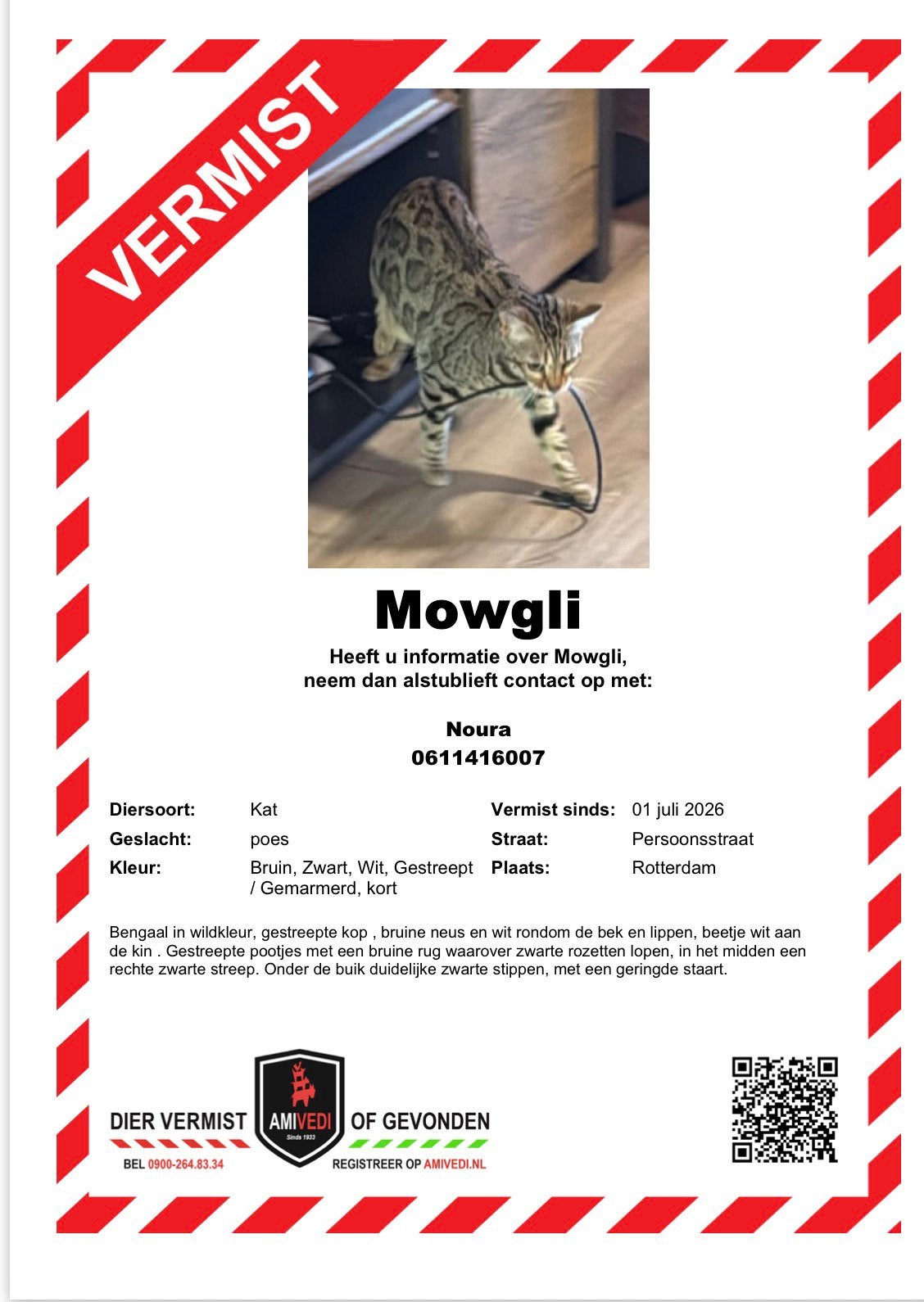 Vermiste bengaal, Kat