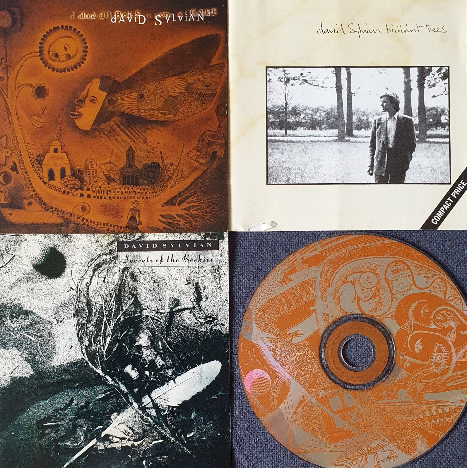 David Sylvian cd's mogen ook per stuk, Ophalen of Verzenden