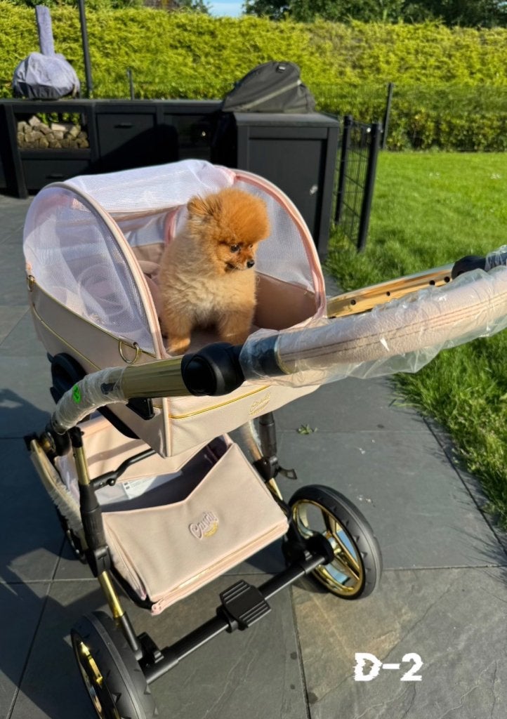 Junama DOG Transporter Dog Stroller Nieuw (honden wagen)€350, Niet ingevuld, Overige merken, Hondenbuggy, Niet ingevuld