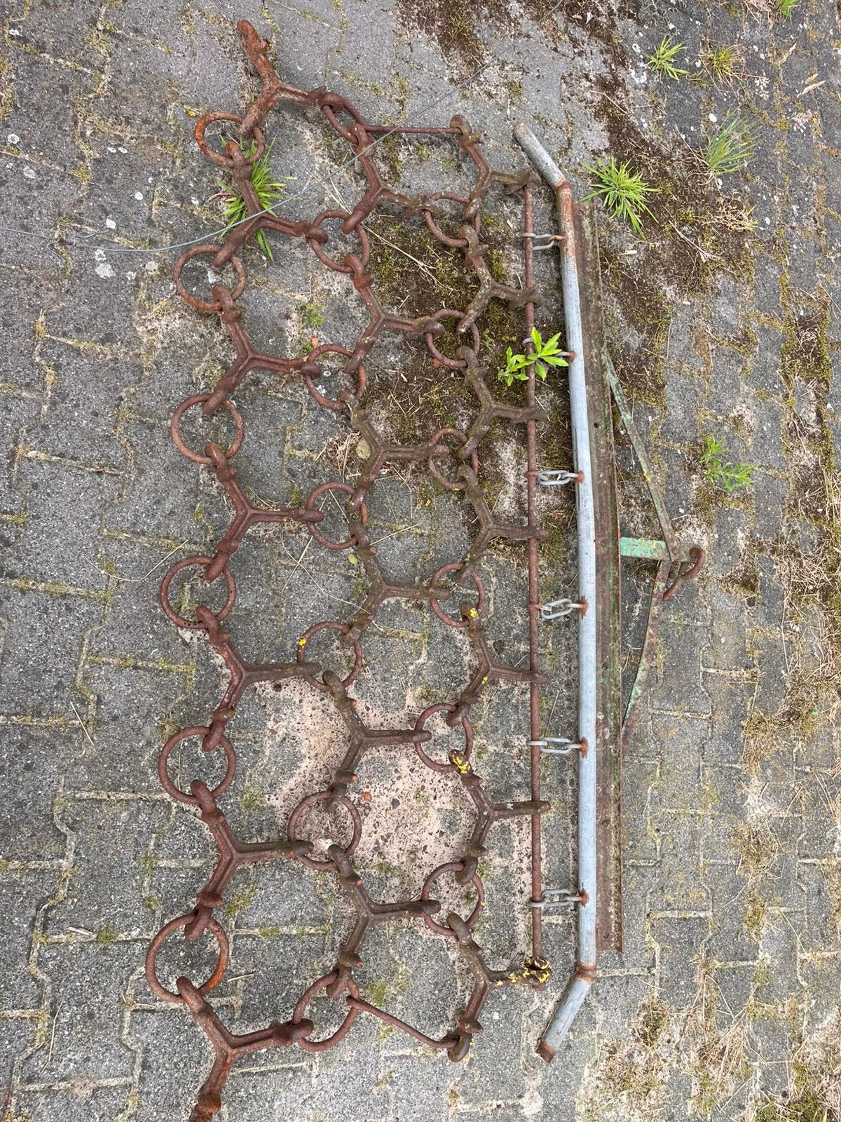 Kleine weidesleep paardenbak, Weidegang