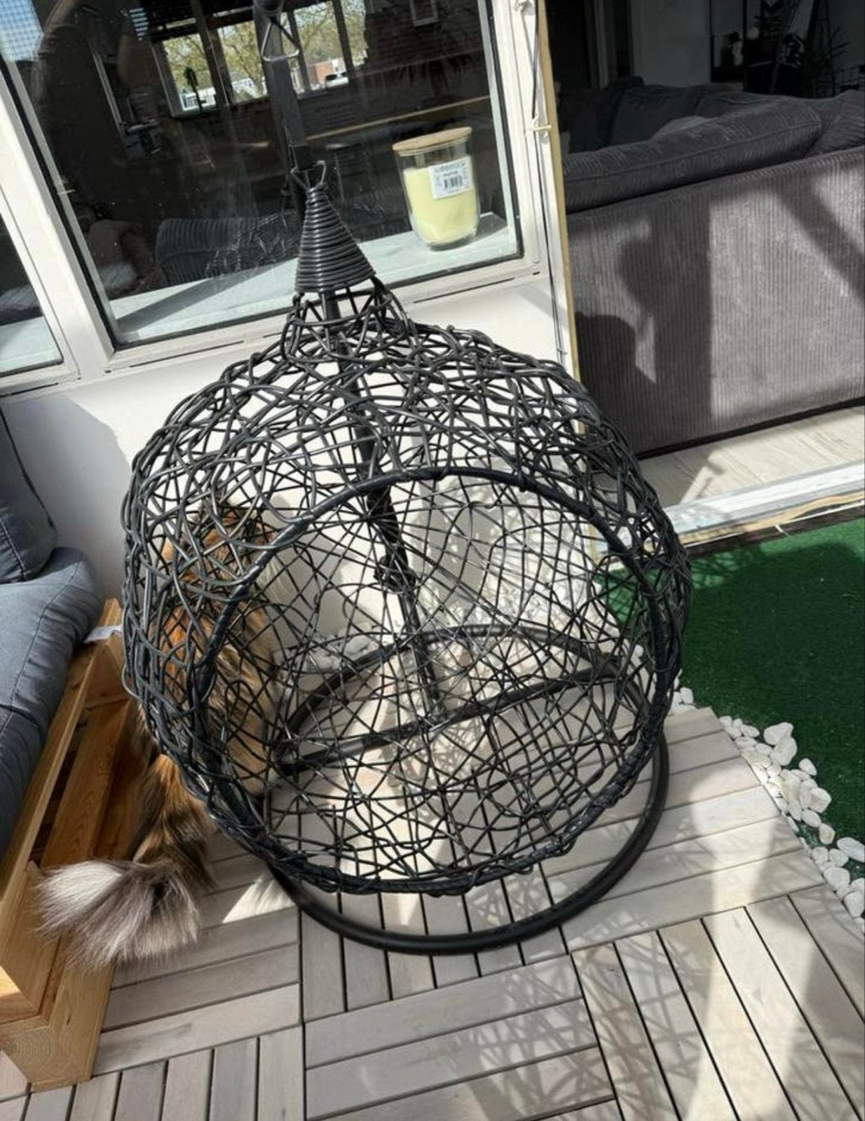 Katten hangmat, Dieren en Toebehoren, Kattenmanden, Ophalen