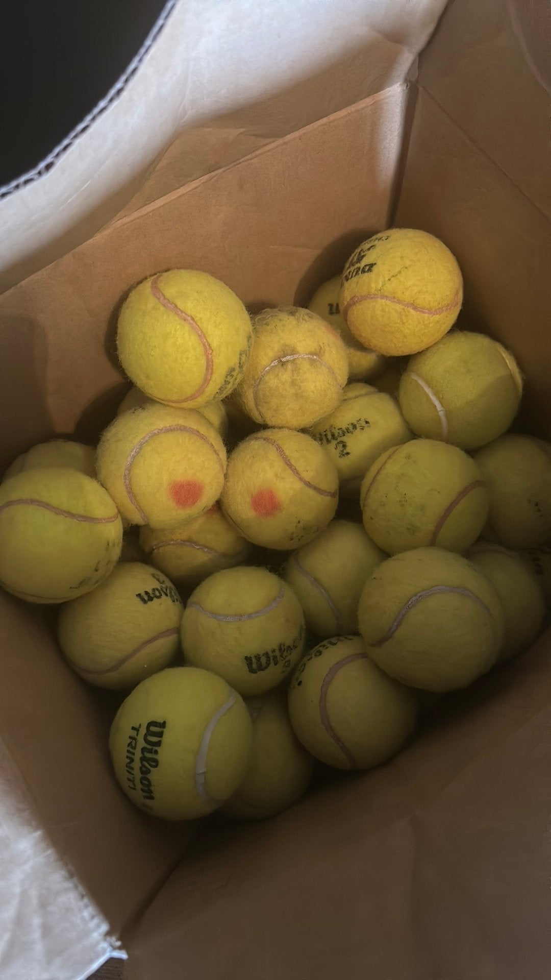 Gebruikte tennisballen, Ophalen of Verzenden, Gebruikt, Hondenballen