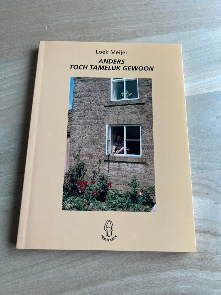 Anders Toch Tamelijk Gewoon - Loek Meijer, Boeken, Ophalen of Verzenden, Zo goed als nieuw, Nederland