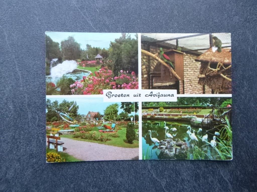 Alphen a/d Rijn, Avifauna 1971, Verzenden, 1960 tot 1980, Gelopen, Zuid-Holland