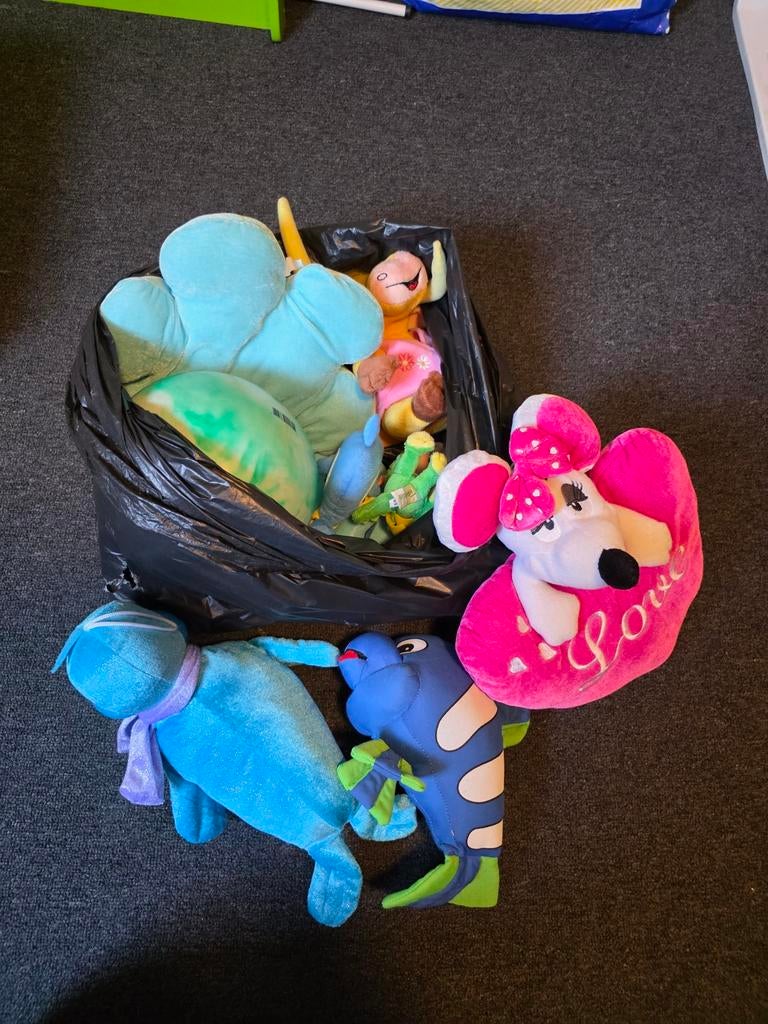 Diverse knuffels, Ophalen of Verzenden, Overige typen