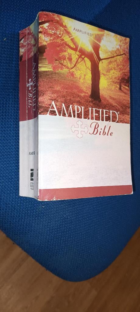 The Holy Bible / Amplified Version	/ Zondervan, Ophalen of Verzenden, Gelezen, Christendom | Protestants