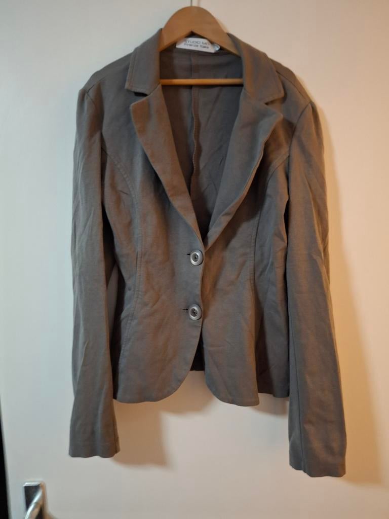 Blazer maat L merk studio mo, Kleding | Dames, Ophalen of Verzenden, Zo goed als nieuw