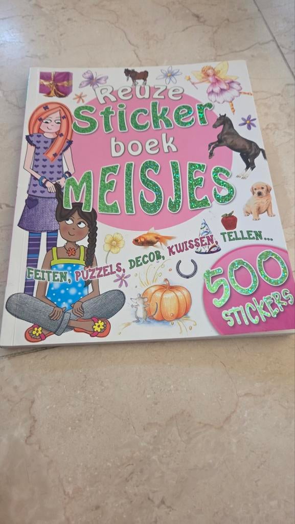 Reuze Stickerboek Meisjes - Puzzels & Feiten, Ophalen of Verzenden, Zo goed als nieuw, Taal en Lezen