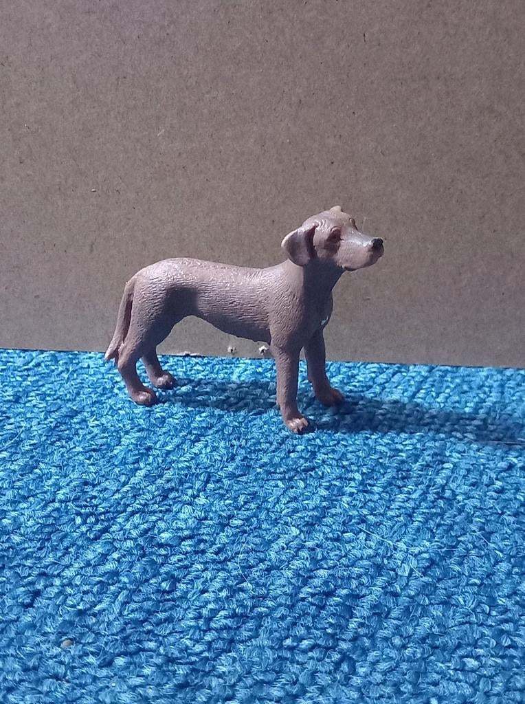 Schleich ridgeback 13895, Ophalen of Verzenden, Zo goed als nieuw, Hond of Kat, Beeldje of Figuurtje
