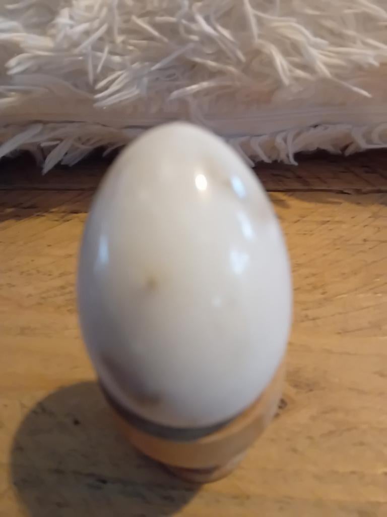 Albaststenen ei, Ophalen of Verzenden